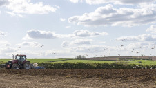 The Climate Change Committee recommends that emissions from land use in the UK are reduced by at least 64% by 2050, against a 2019 baseline
